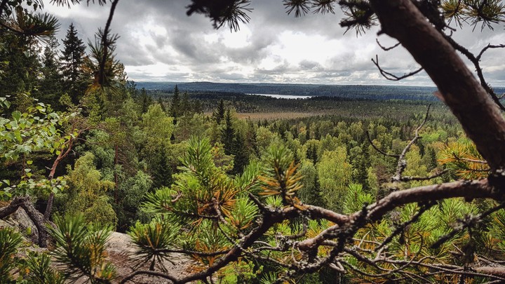 Mountain view