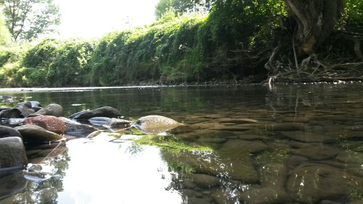 water