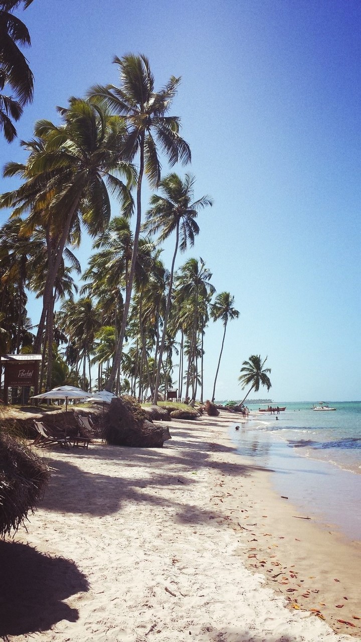 Paradise