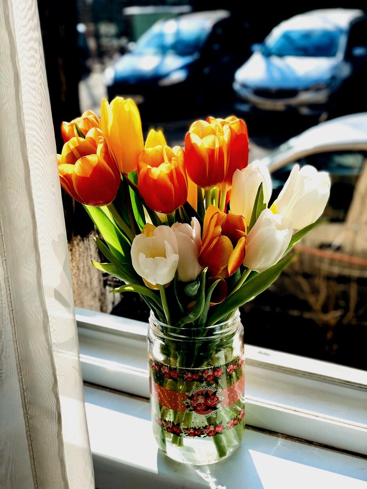 flowers