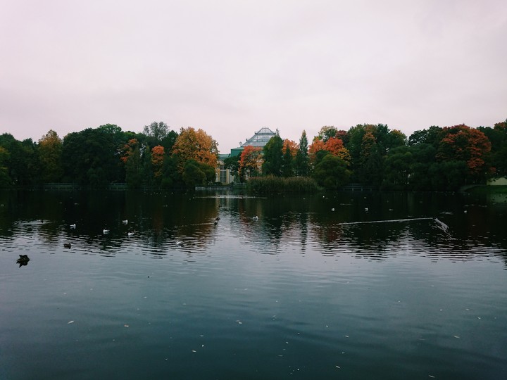 Tauride Gardens. Saint Petersburg