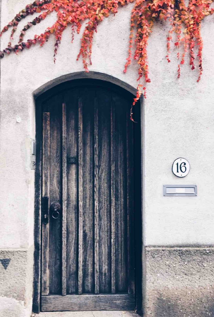 The door and red leafs