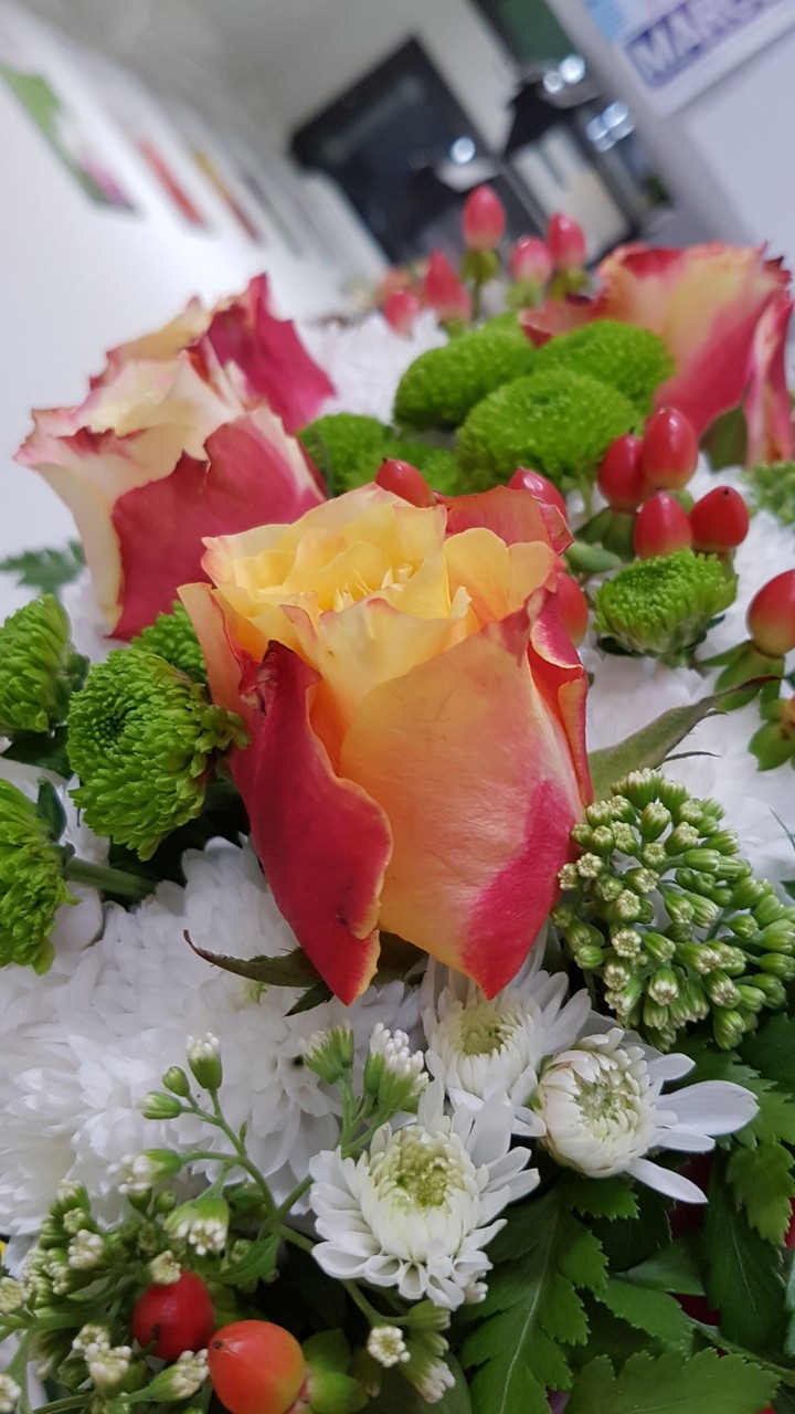 rose
