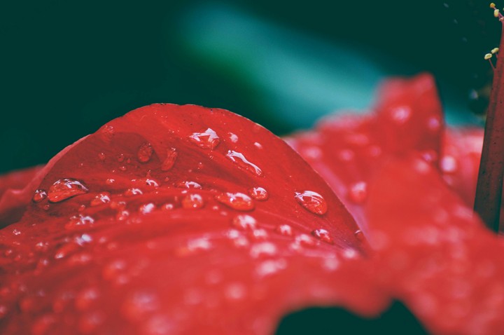 waterdrop