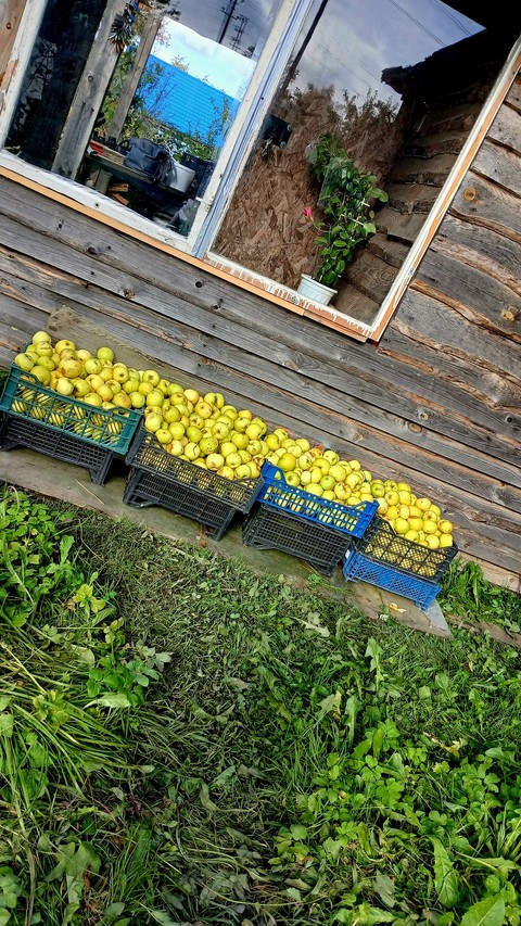Produce, Fruit, Natural_foods