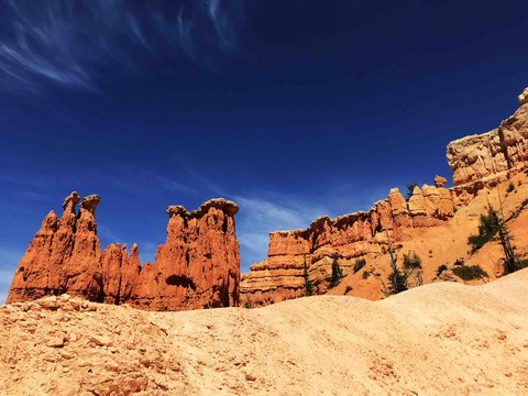 Bryce 4