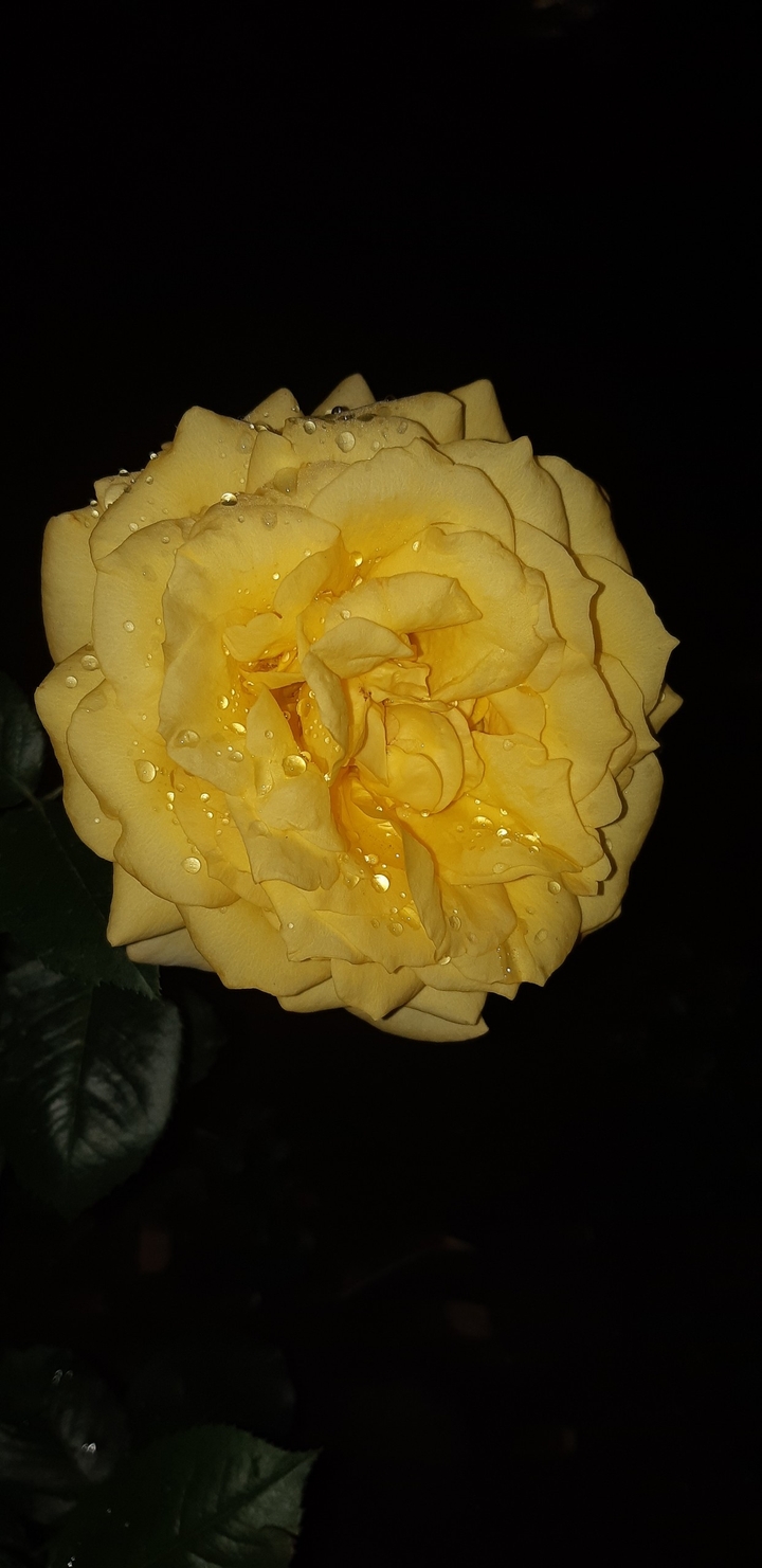 ❤