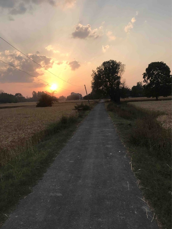 Sunset