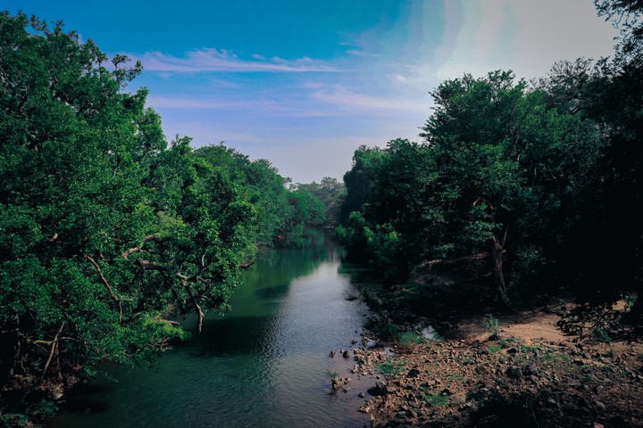 Nature