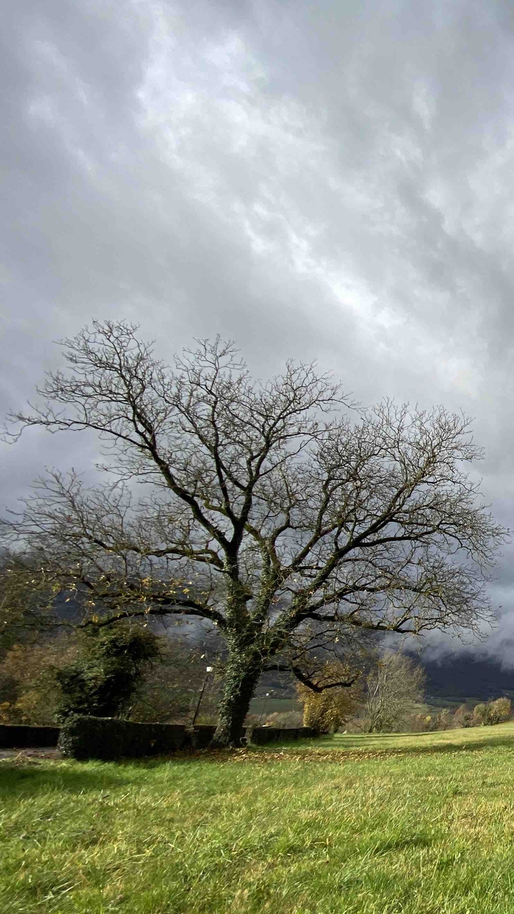 Stormy Sky