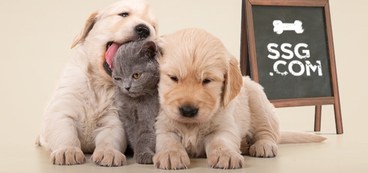 Pets