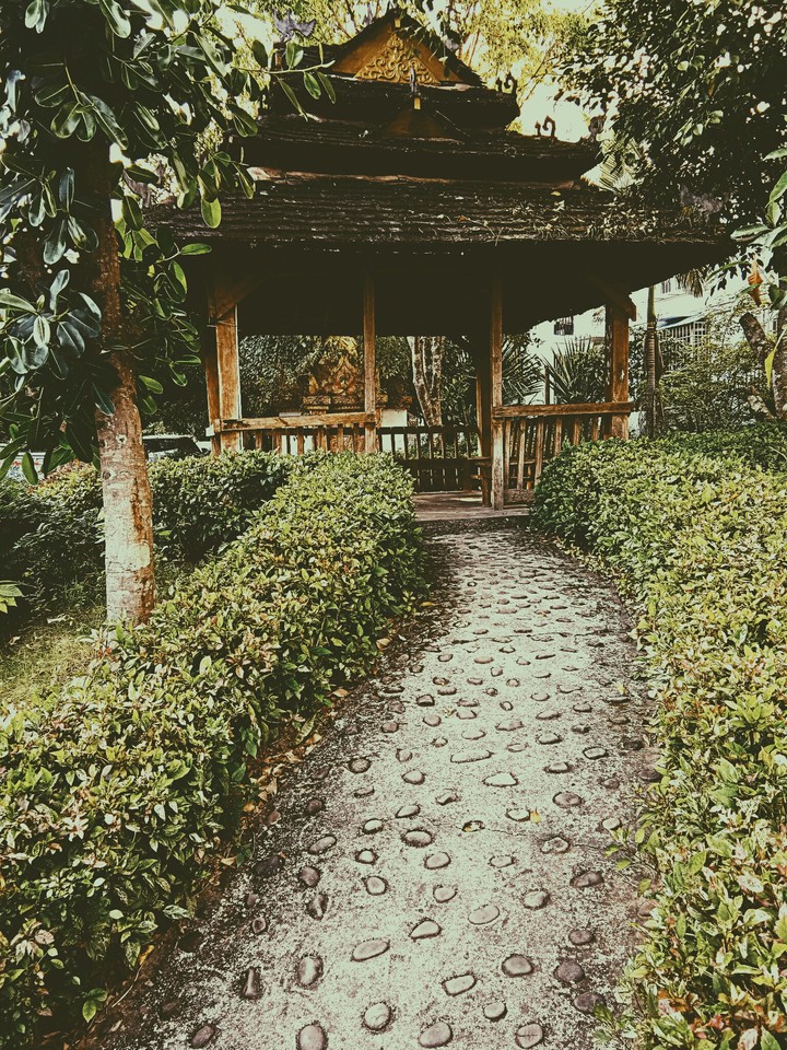 some place you will go