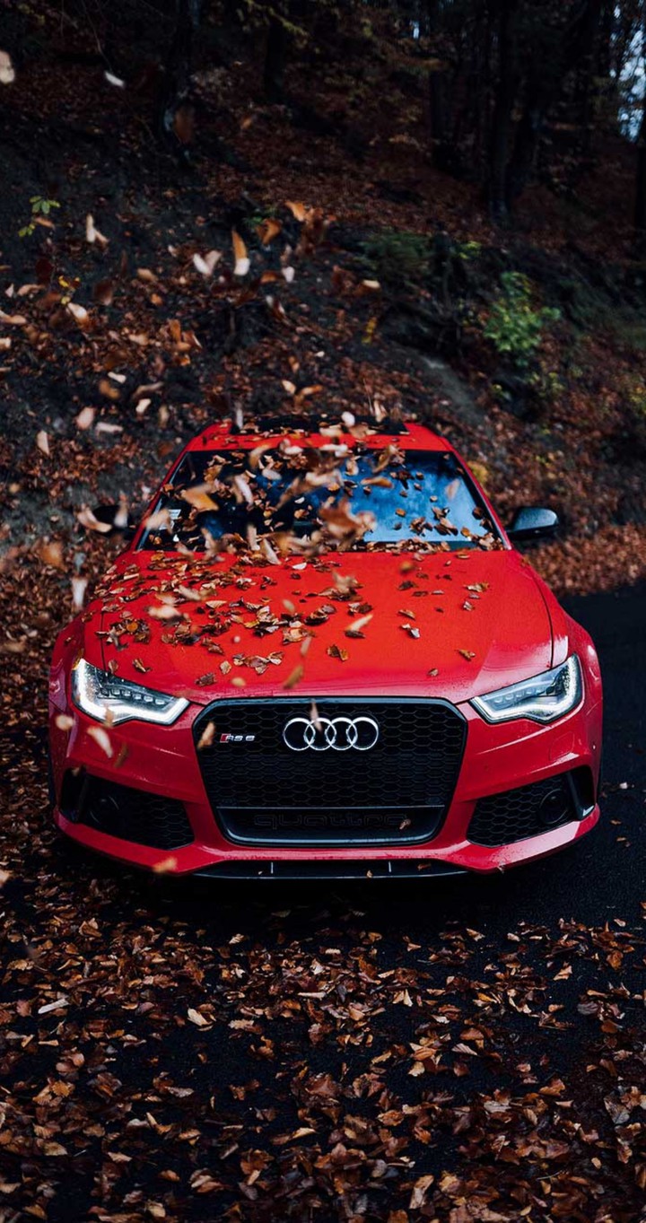 audi