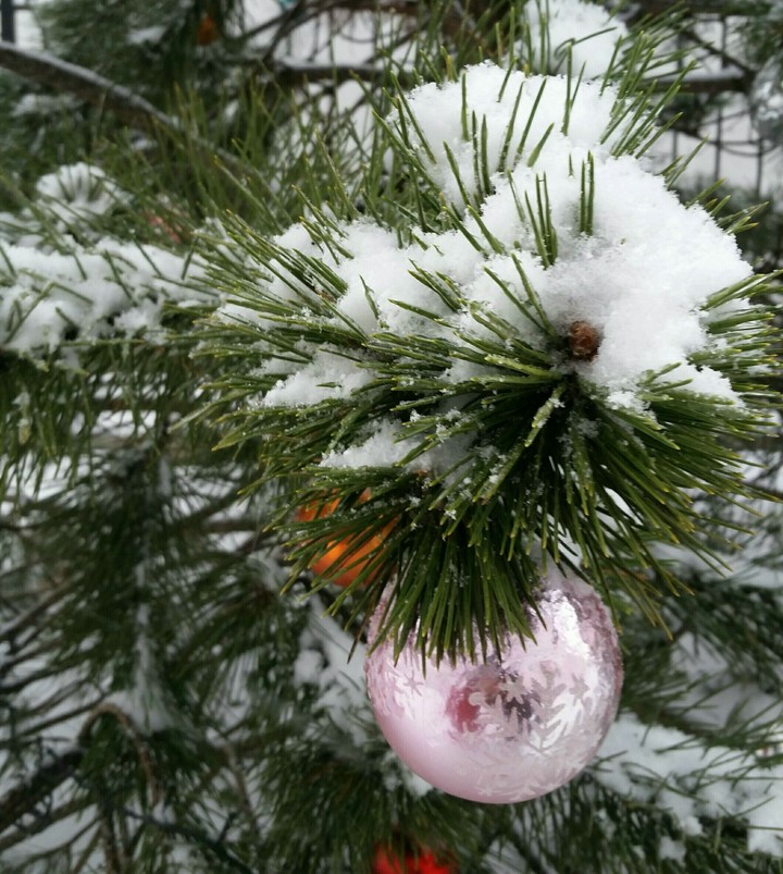 Snow decoration