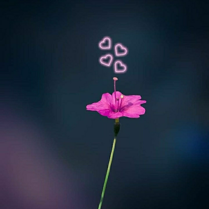 ❤️
