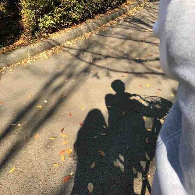 On the way of life