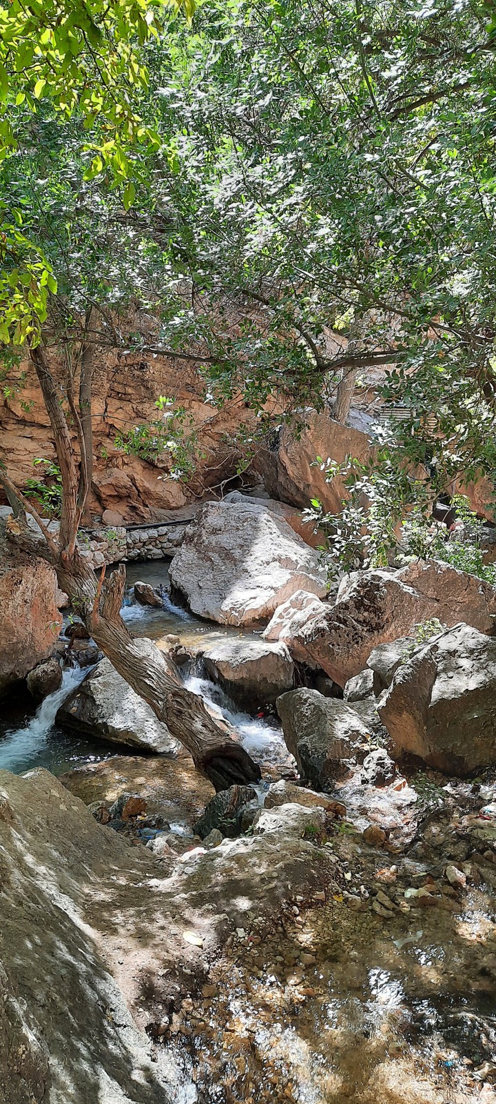 akhlamad