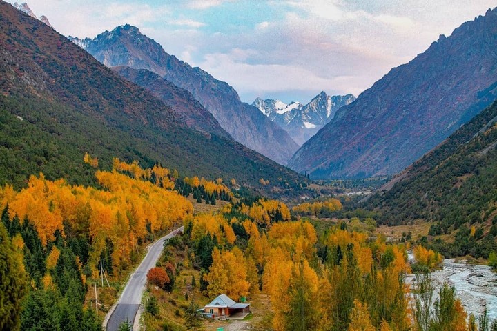 Autumn