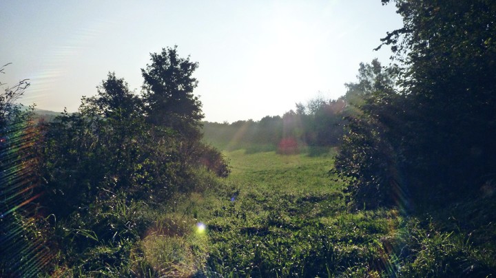 Natur pur
