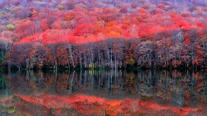 Reflections