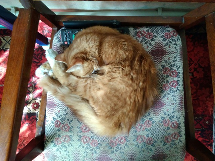 Тима