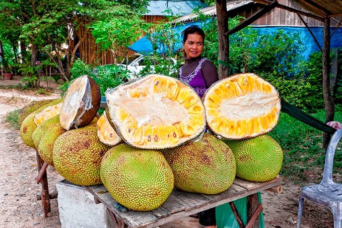 fruit