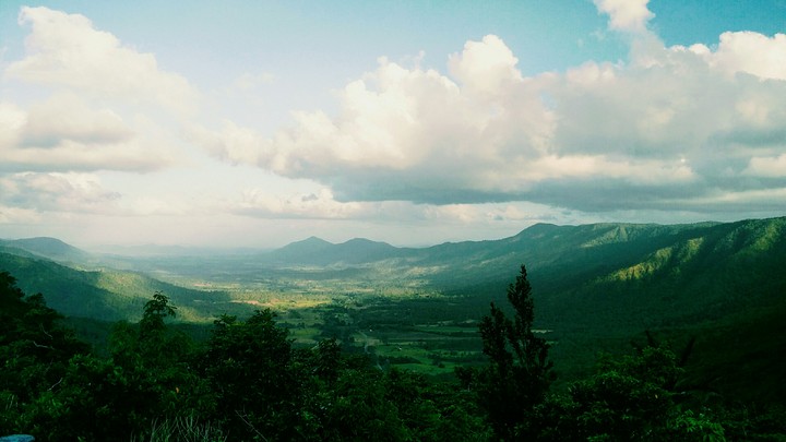 Green view