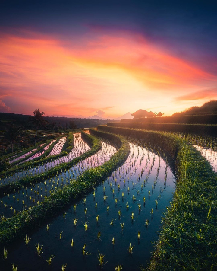 field
