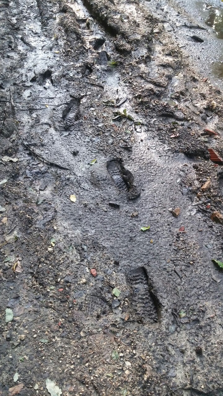 dirt