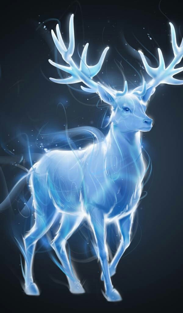 Lovely animal