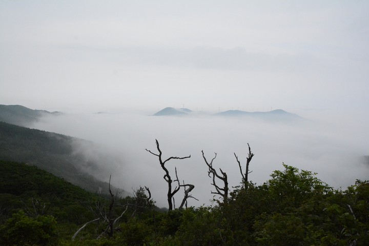 함백산이미지