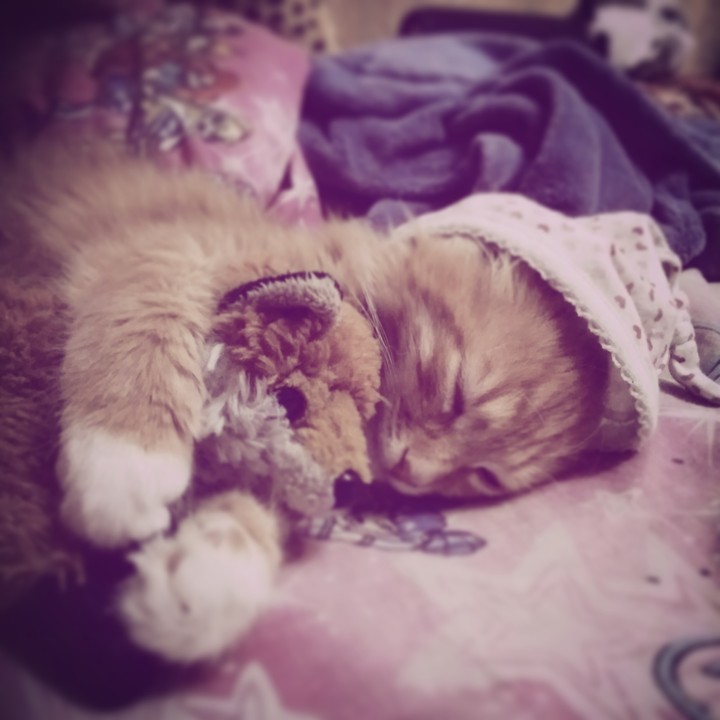 Sleepy head