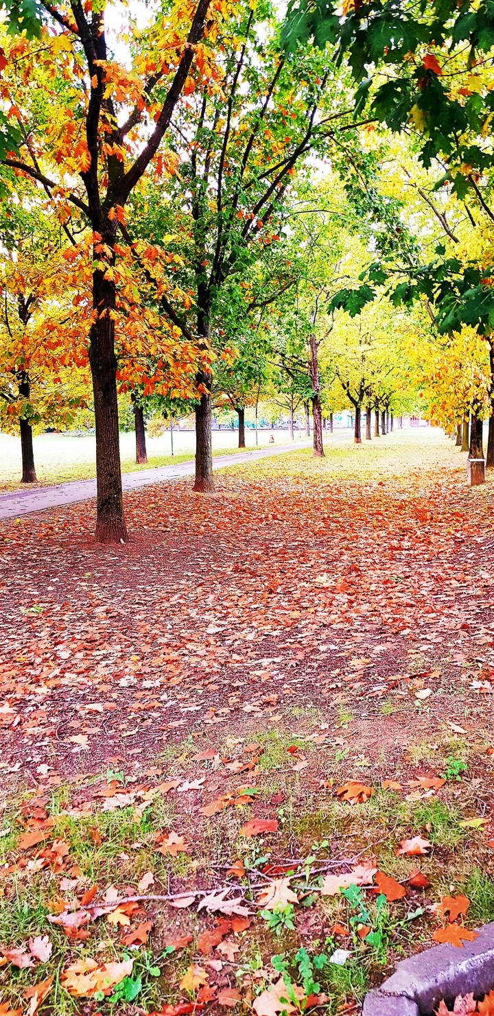 autunno