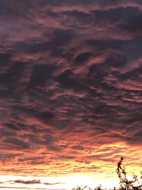 Evening clouds