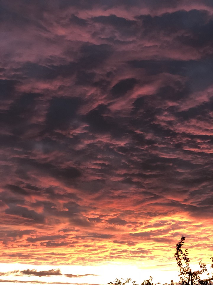 Evening clouds