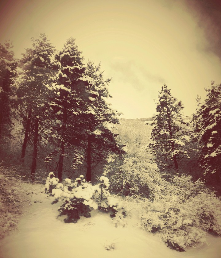 snow