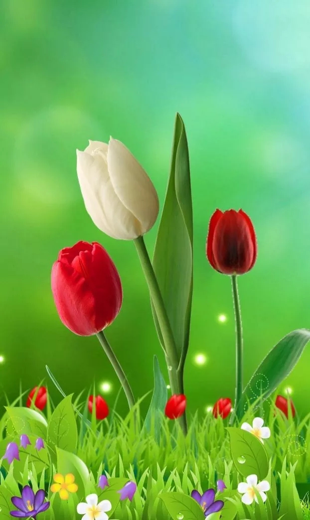flower