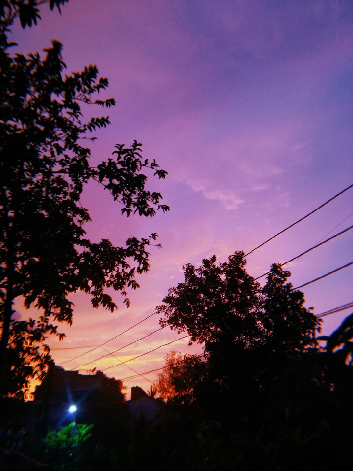 Pretty Sky