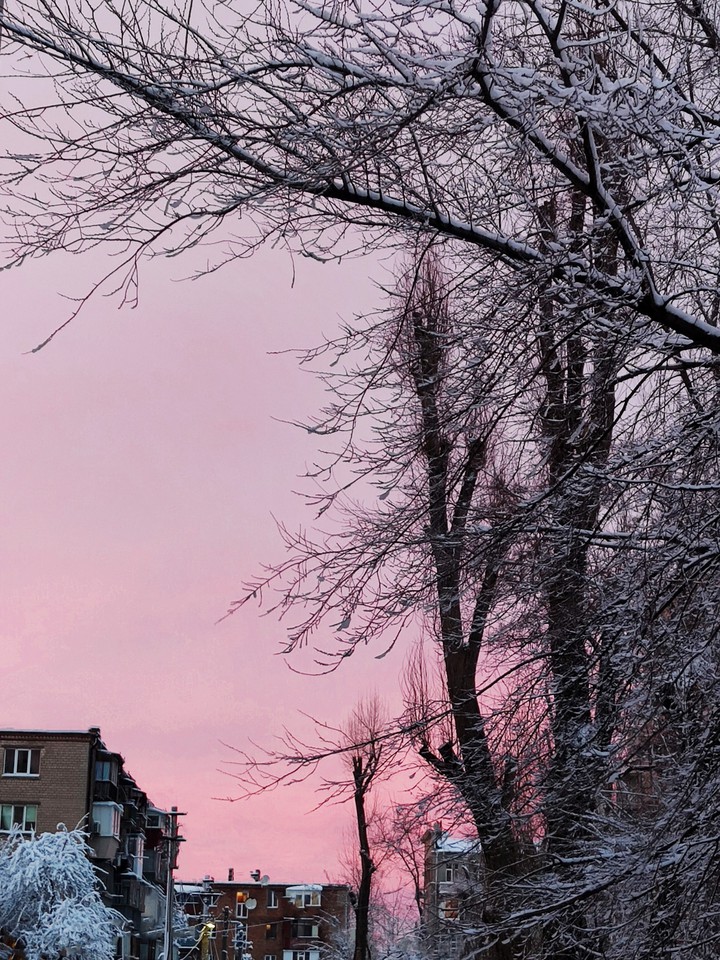 pink sanset
