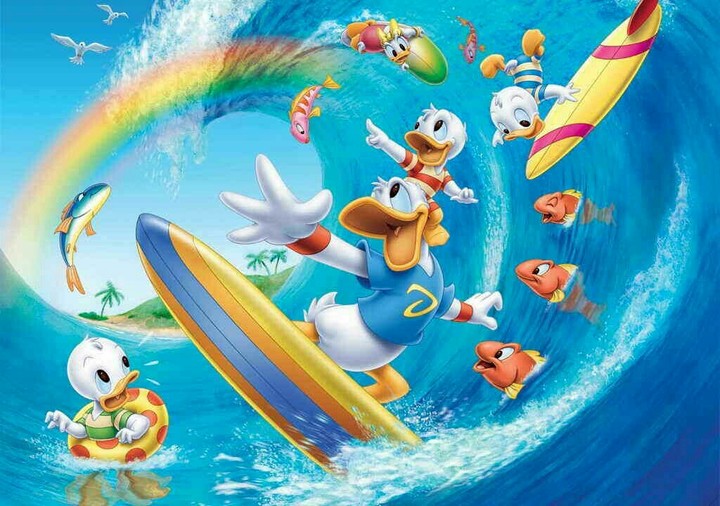 Duck
