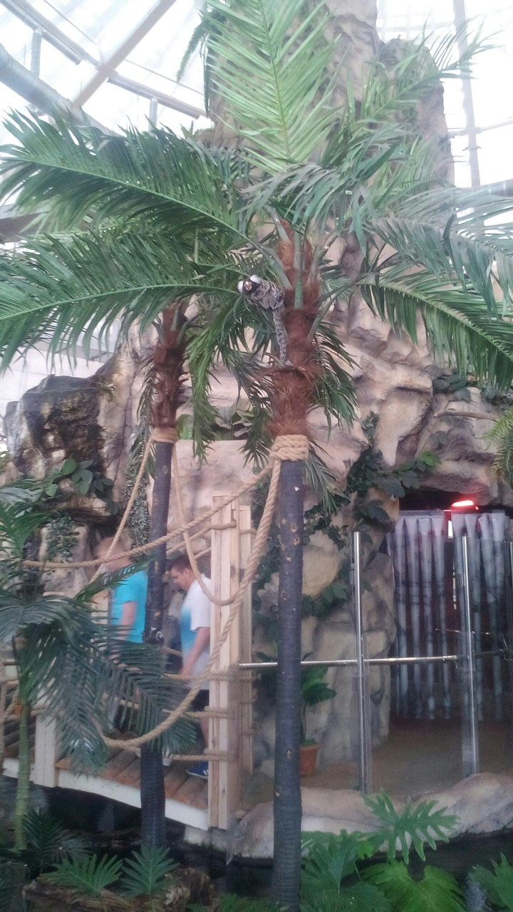 Zoo.