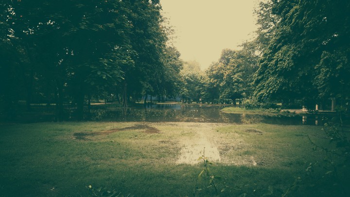 monsoon flurry