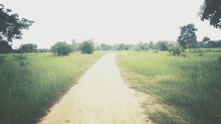 less travelled path