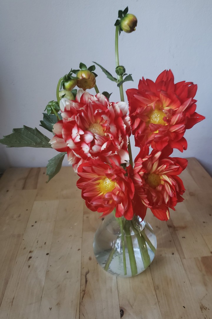 flower
