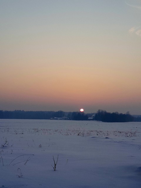 sfondi winter, ecoregion