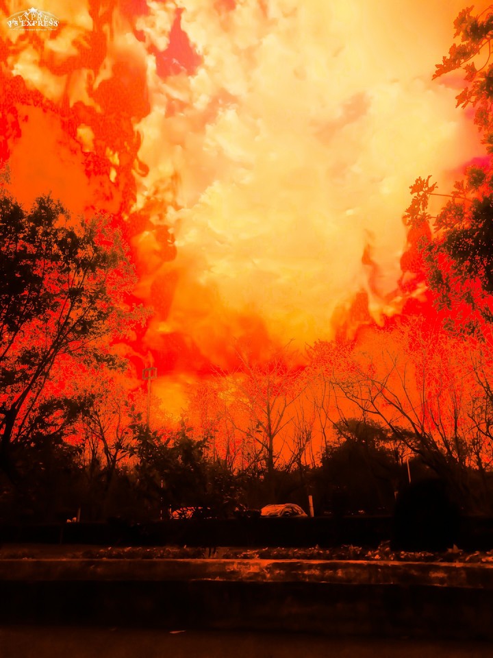 red jungle