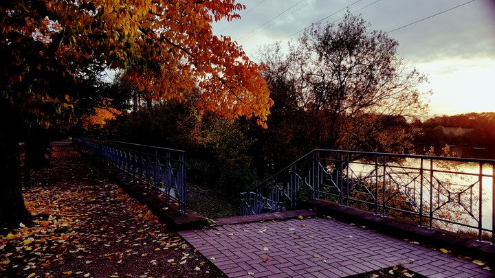 Autumn Beauty