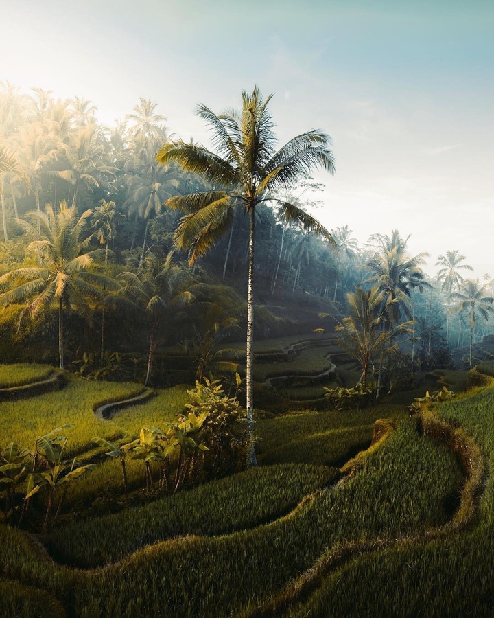 bali