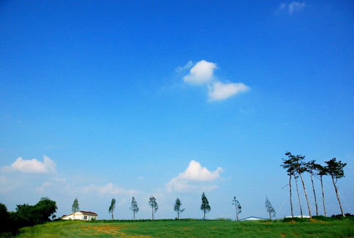 the autumn sky of Korea