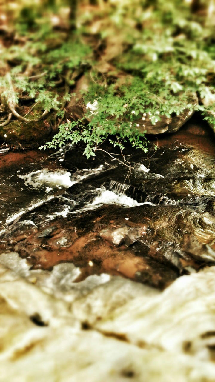 Retro Brook